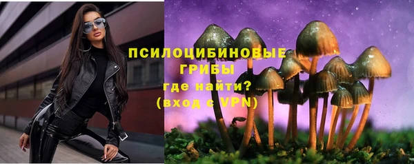 марки lsd Белокуриха